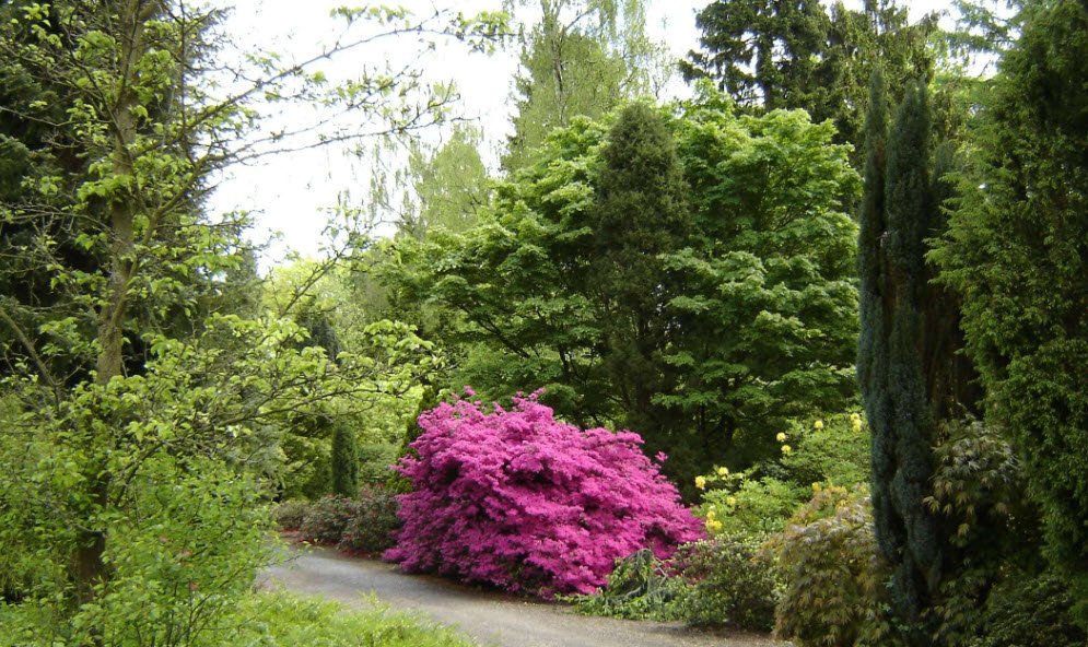 Von Gimborn Arboretum, Netherlands